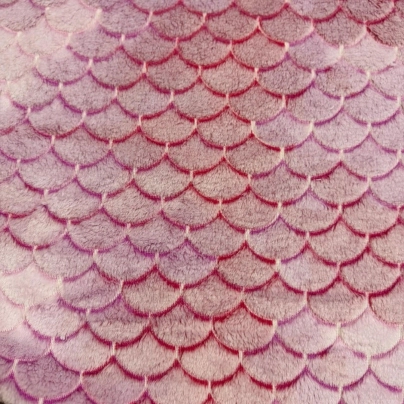 CORAL LUDMI