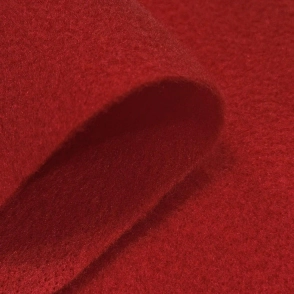 PA&Ntilde;OLENCI